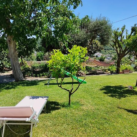 Il Giardino Appartement Barano dʼIschia Buitenkant foto